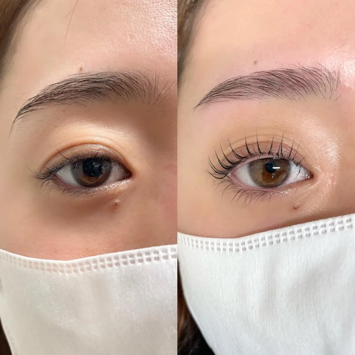 パリジェンヌラッシュリフト👀限定価格🔥の写真