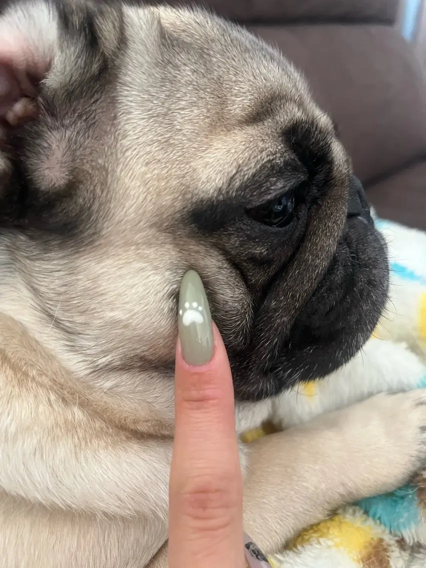 ネイル nail salon noaのネイルデザイン