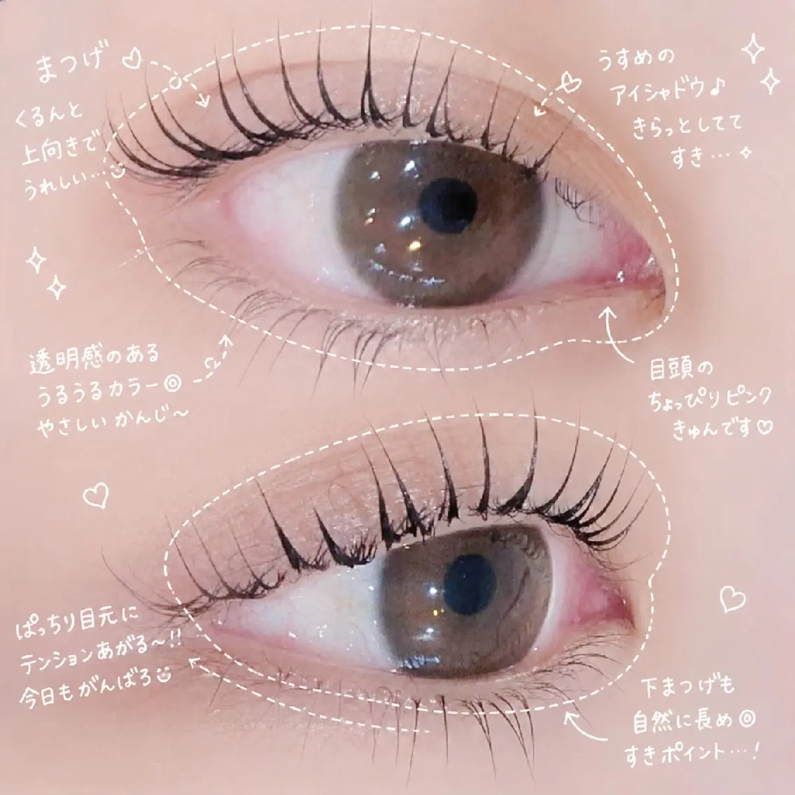 マツエク・マツパ 下まつげエクステ 一重×まつ毛パーマ eyelashZen RINGO︎🤍の眉毛・アイブロウイメージ