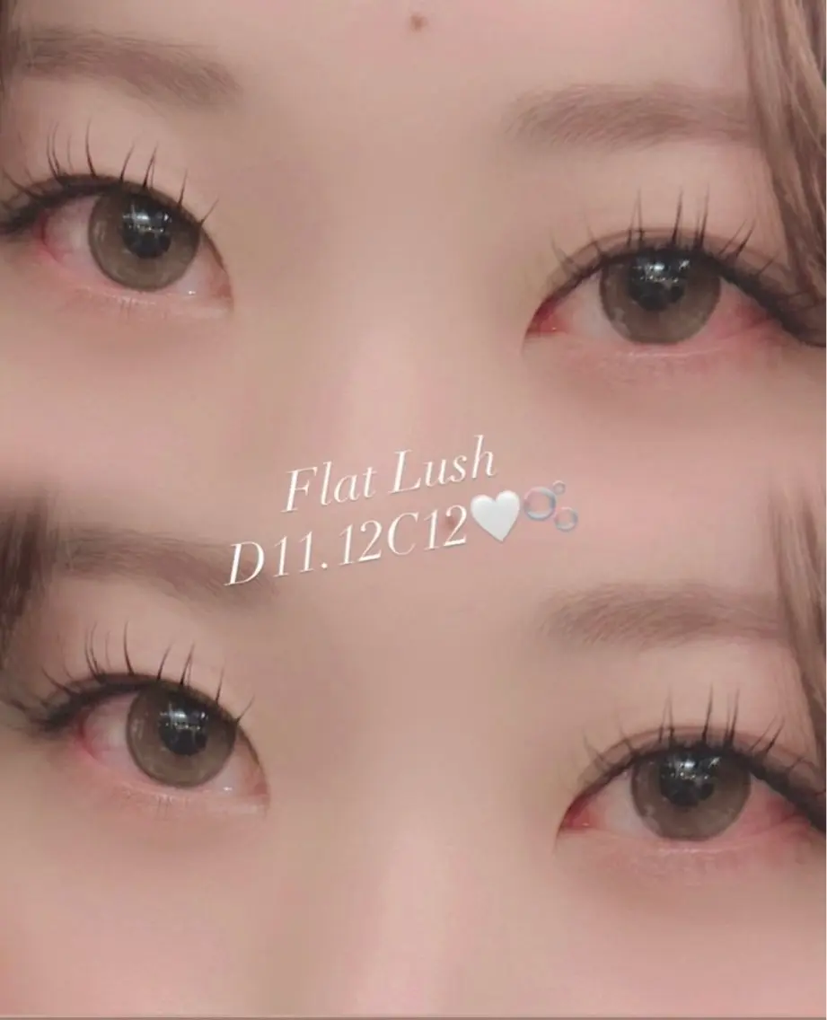フラットラッシュ 80本の写真