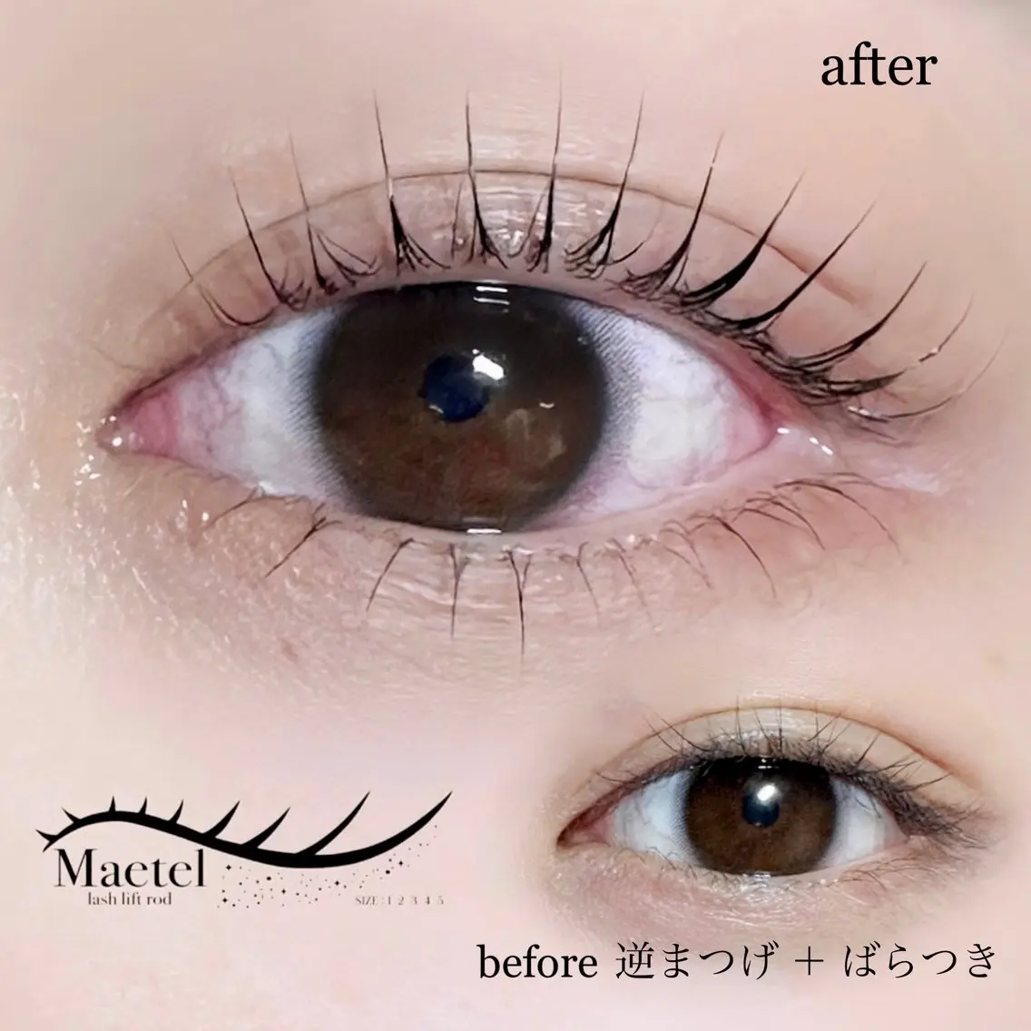 【メーテルロッド🦋】立ち上げもタレ目も叶う✨欲張りメーテルデザイン🐼+🦋!大人かわいい似合わせアイデザイン🪽の写真