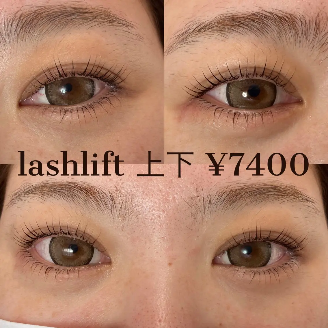 🦋LUSHLIFT 上下の写真