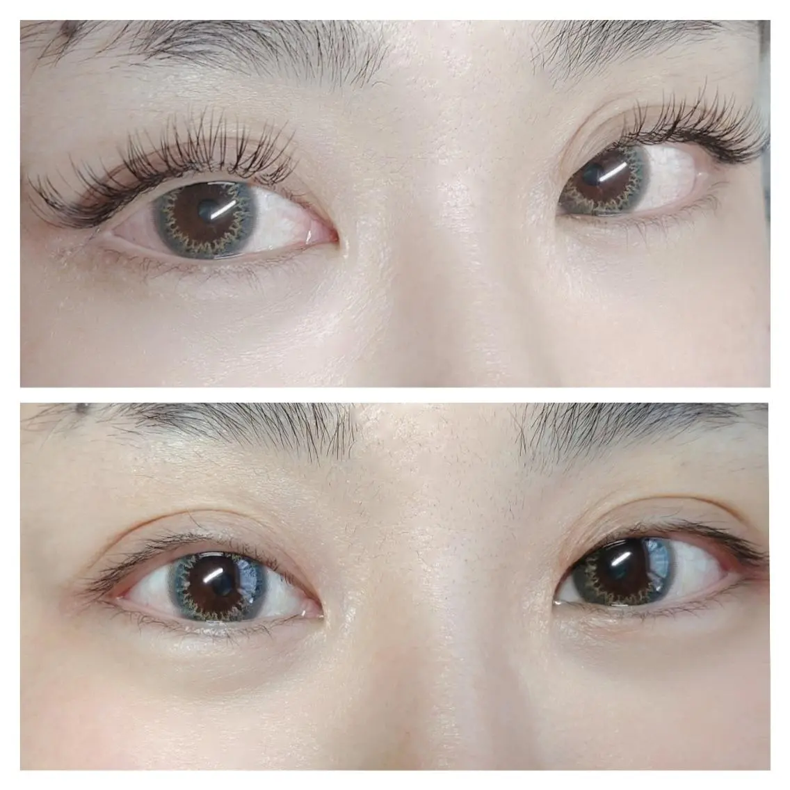 モチ🆙Wフラットラッシュ50束（100本）の写真