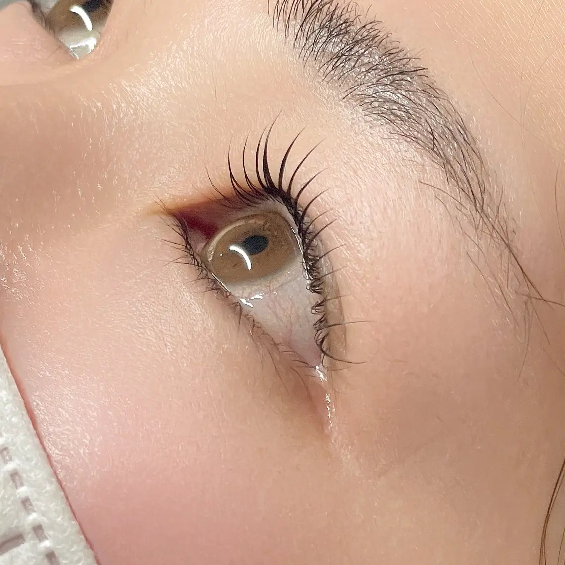 Lash Lift ・:*の写真