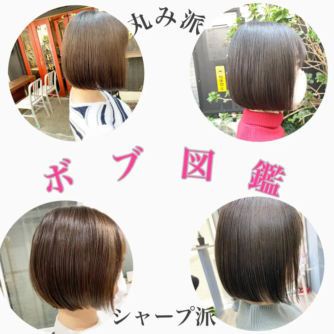 ショート ボブ ショート&ボブ井上 菜樹のヘアスタイル