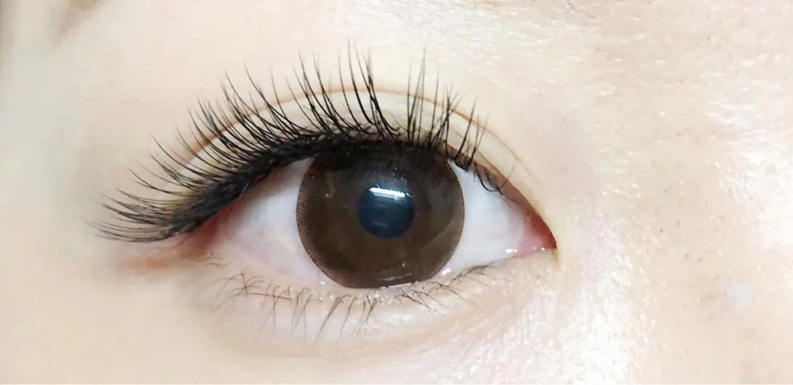 初回フラットラッシュ120本の写真