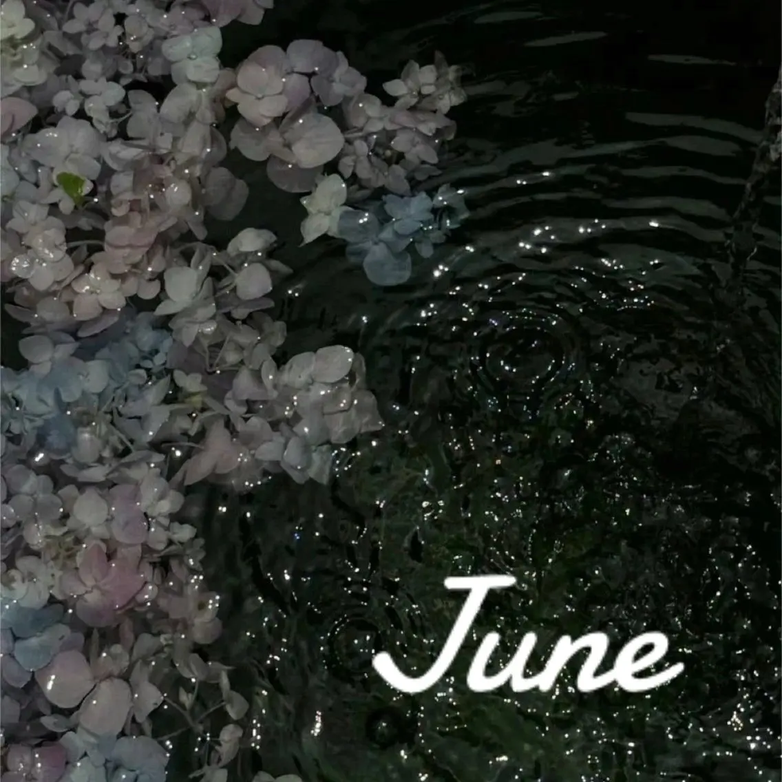 ネイル 木村 夏生 /アート･個性派👾のネイルデザイン