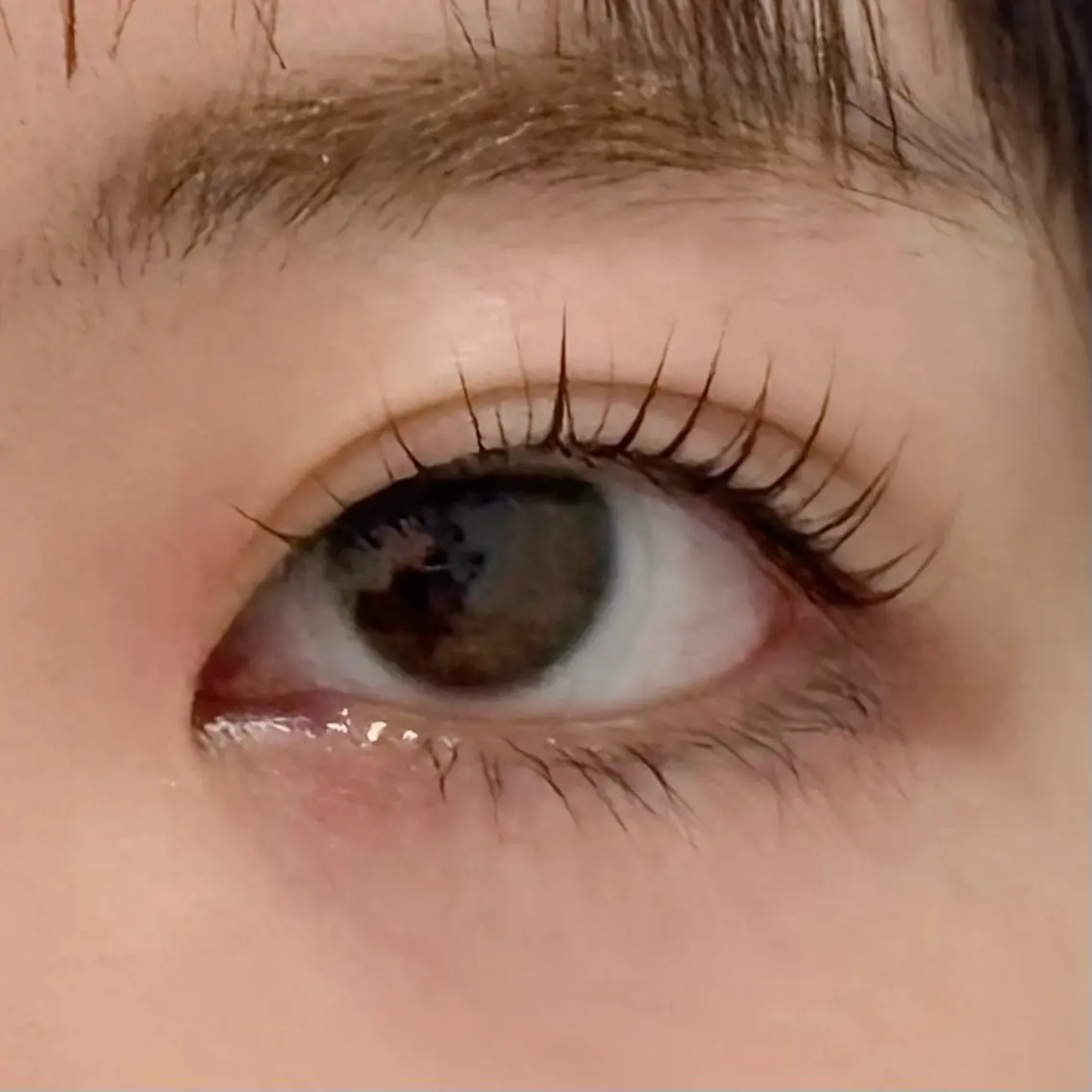 マツエク・マツパ あべ⠀しほ * 無料モデル募集中の眉毛・アイブロウイメージ