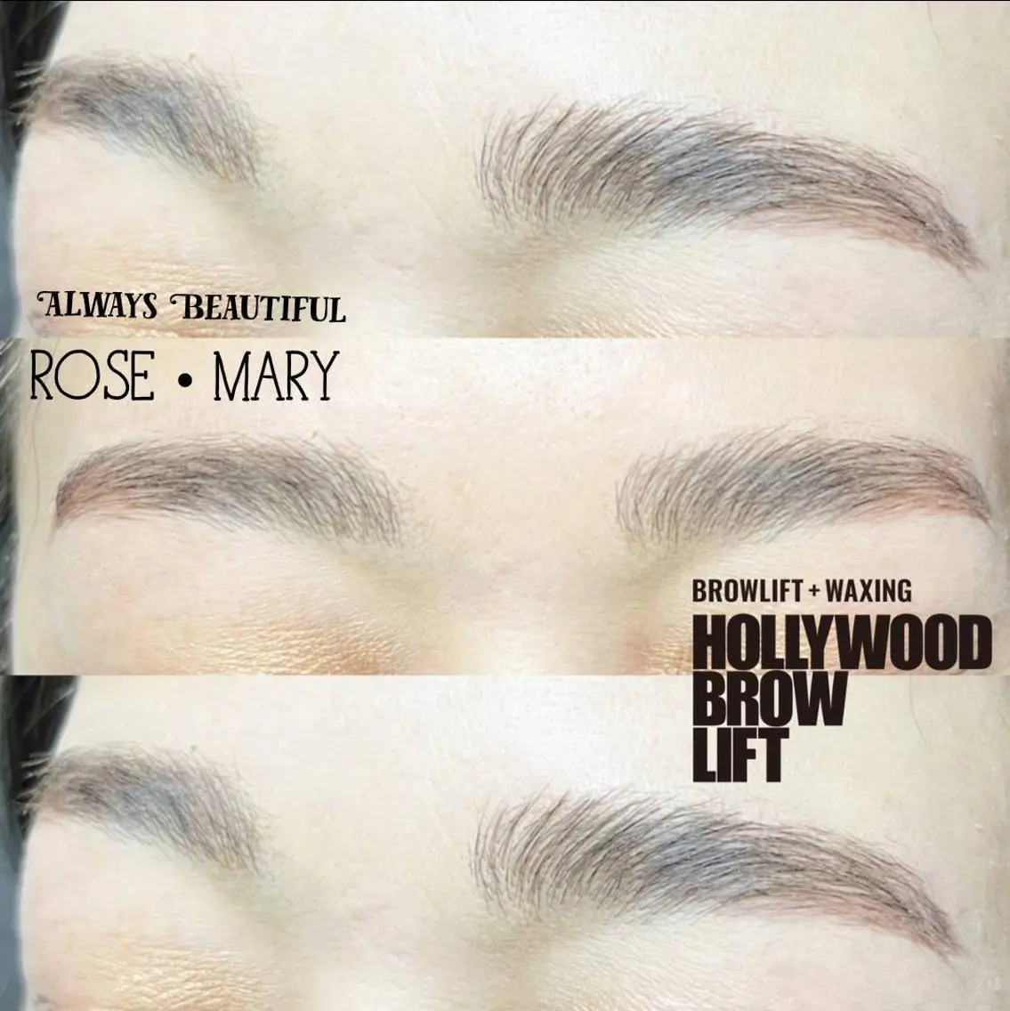 アイブロウ ワックス脱毛 その他(アイブロウ) ROSE MARY 大竹のマツエク・マツパデザイン