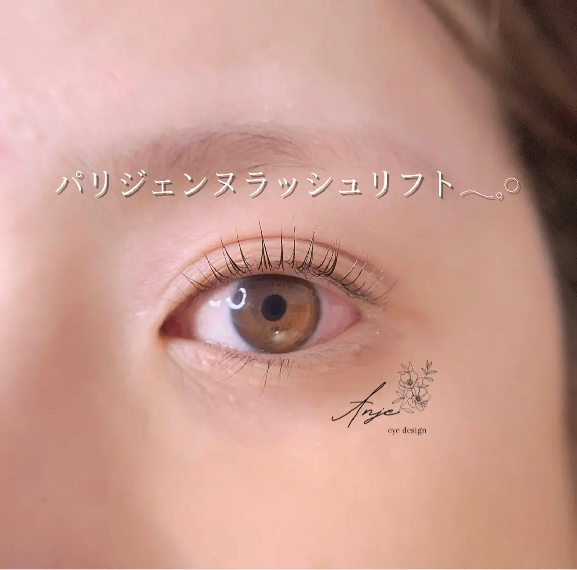 【ミニモ限定価格❤️‍🔥】パリジェンヌラッシュリフト🌷の写真