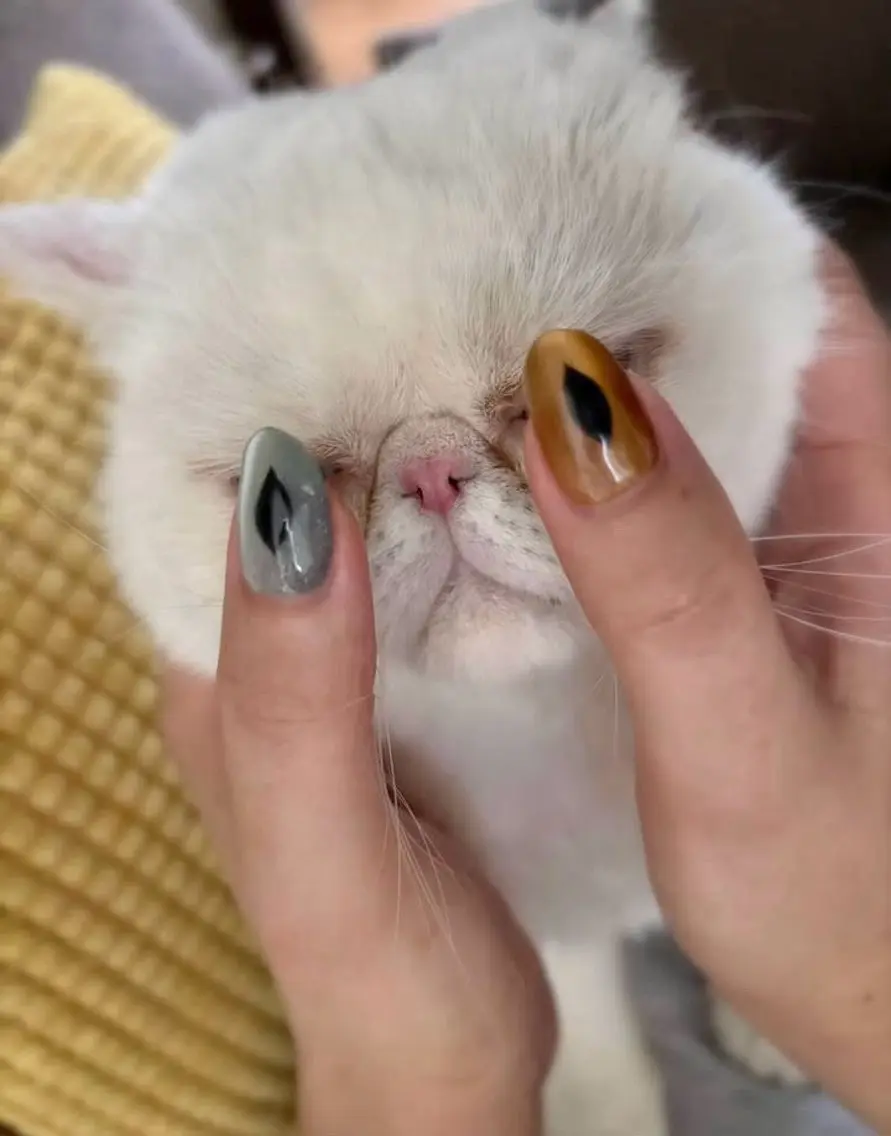 ネイル ハンドネイル jeu nail.のネイルデザイン