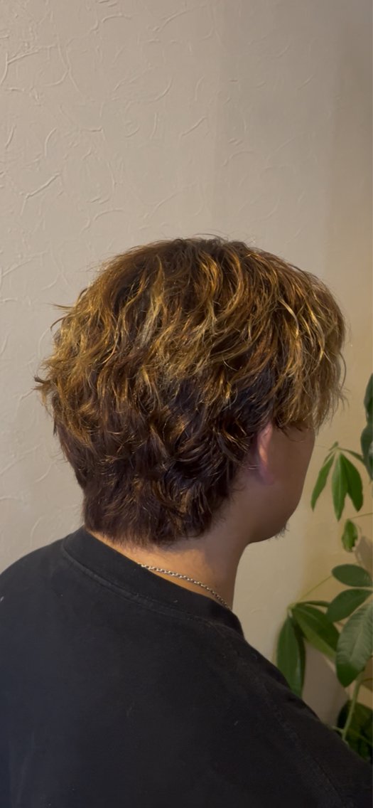 メンズ メンズパーマ メンズツイストパーマ ツイストパーマ カット パーマ 藤本 哲平のヘアスタイル