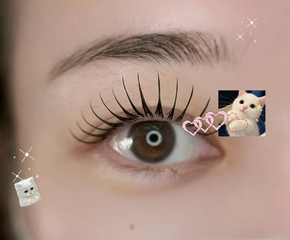 マツエク・マツパ マツエク 🎀eyelist. mizuki🐈⬛のマツエク・マツパデザイン