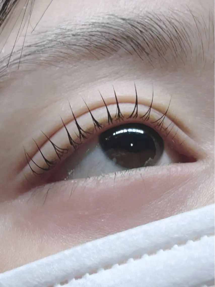 【🩷🫧まつ毛パーマorパリジェンヌモデル🩷🫧】の写真