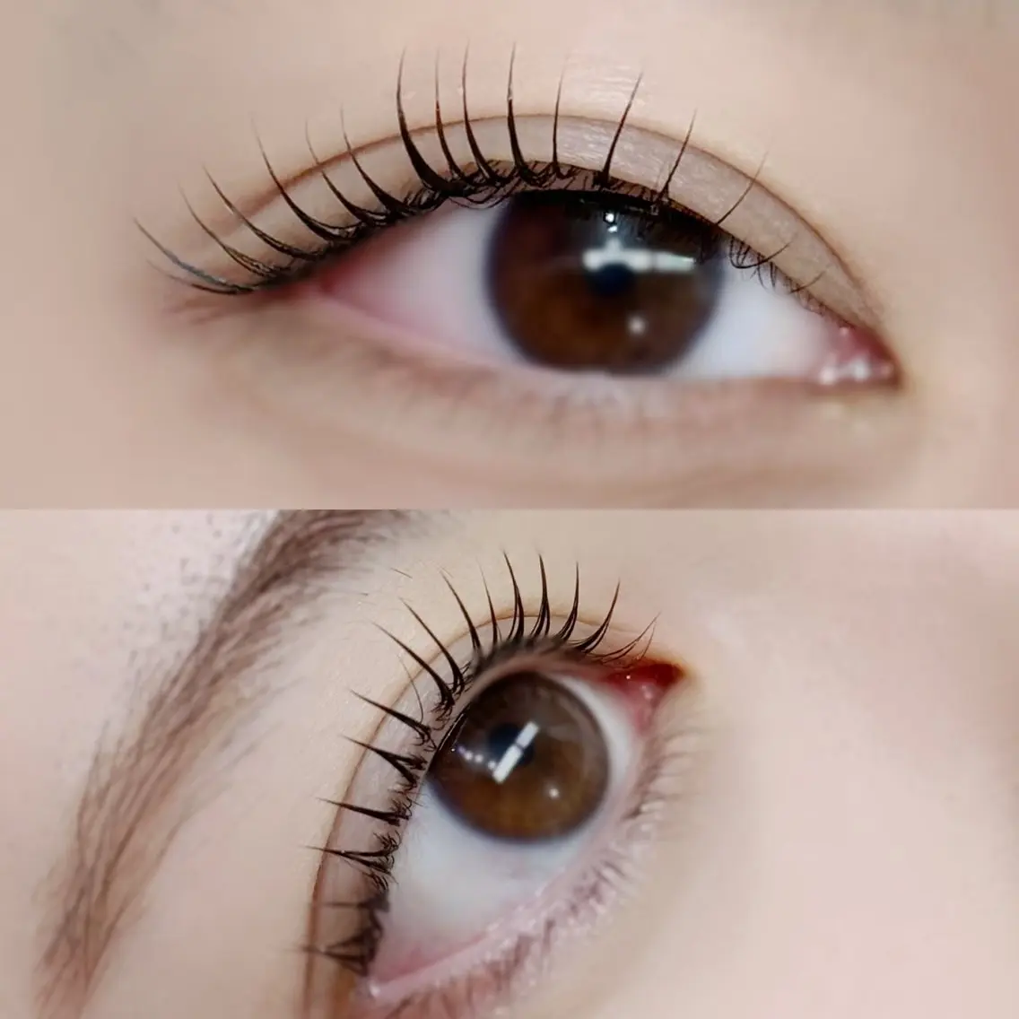マツエク・マツパ Crevia Chieのマツエク・マツパデザイン