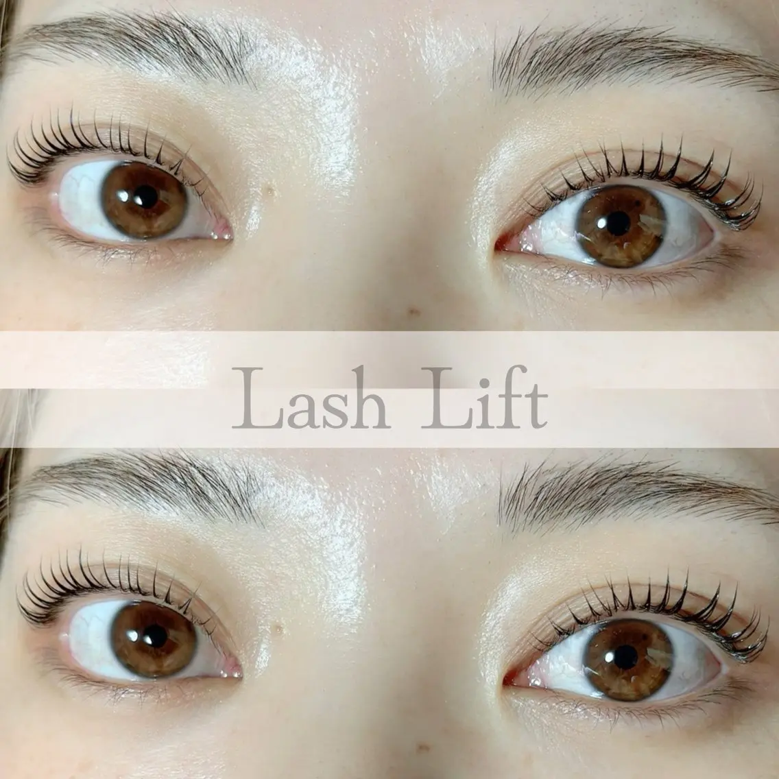 【ご新規様*¥6,050→¥4,950】ラッシュリフト(上のみ)の写真