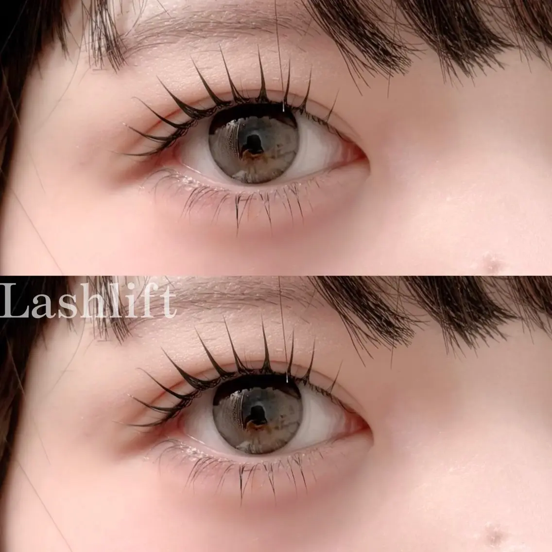 マツエク・マツパ eyelash "Koa"🕊🤎のマツエク・マツパデザイン