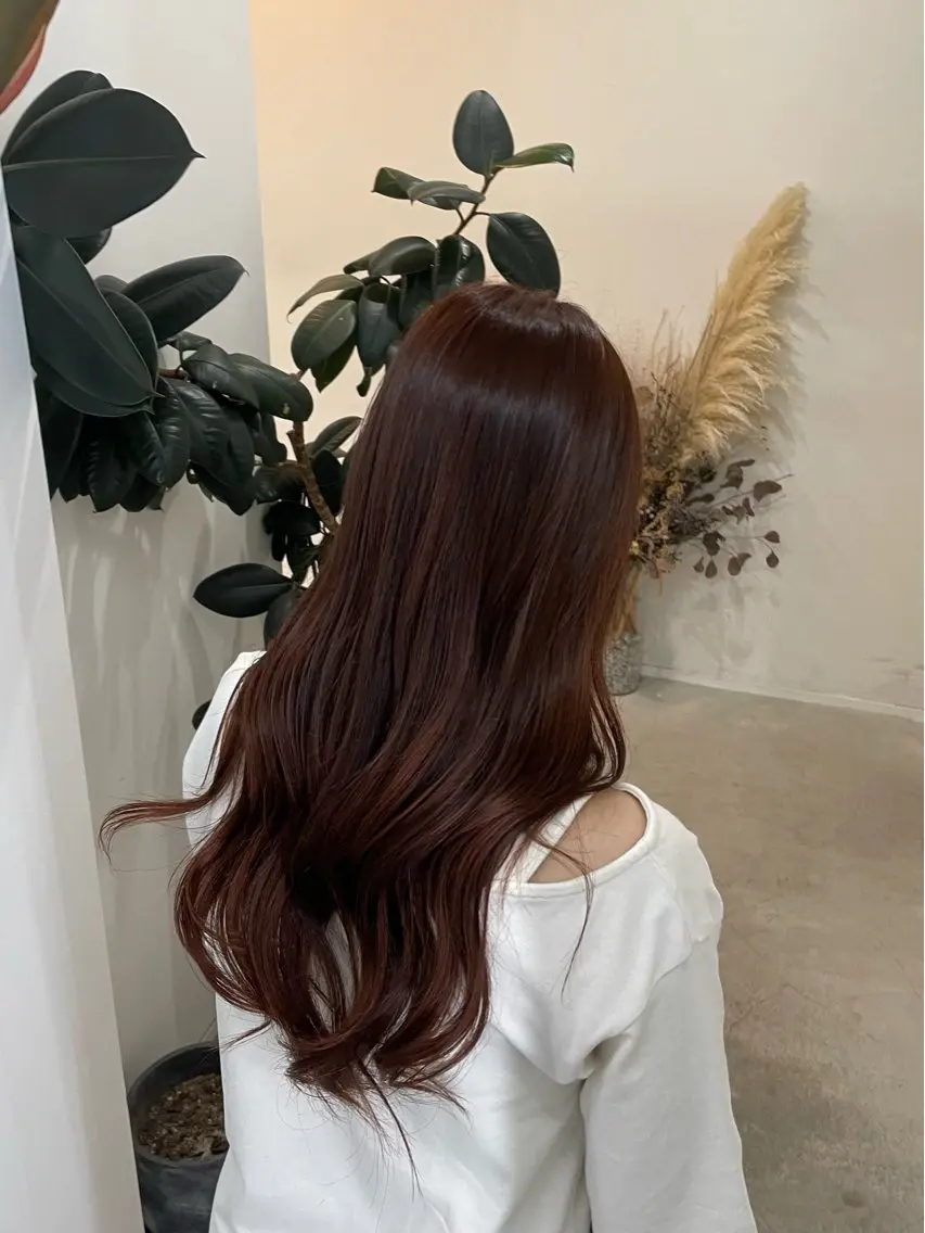 ワンカラー　¥9500→4000の写真