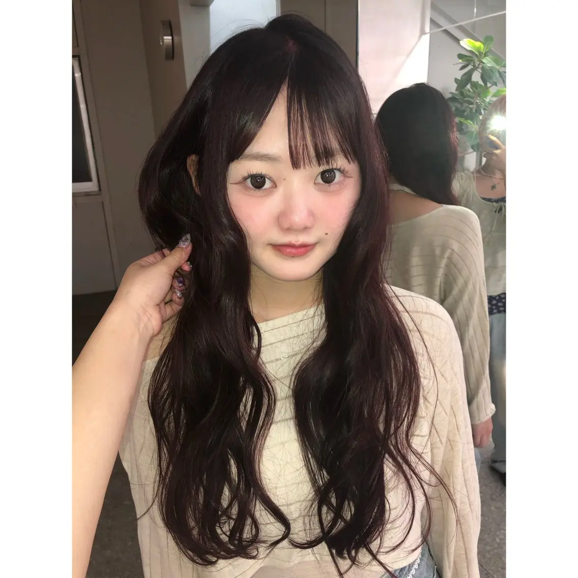 ワンカラーの写真