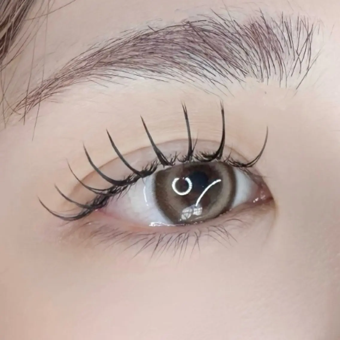 フラットラッシュ 100本🎀(オフ込)コーティング仕上げ付の写真