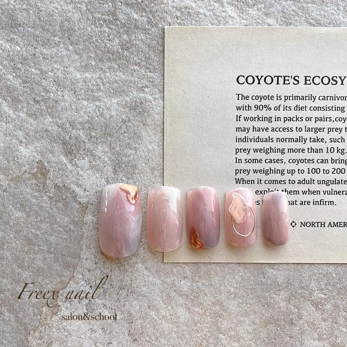 ネイル ニュアンスネイル ハンドネイル ハンドケア freex nail /ニュアンス/個性派のネイルデザイン