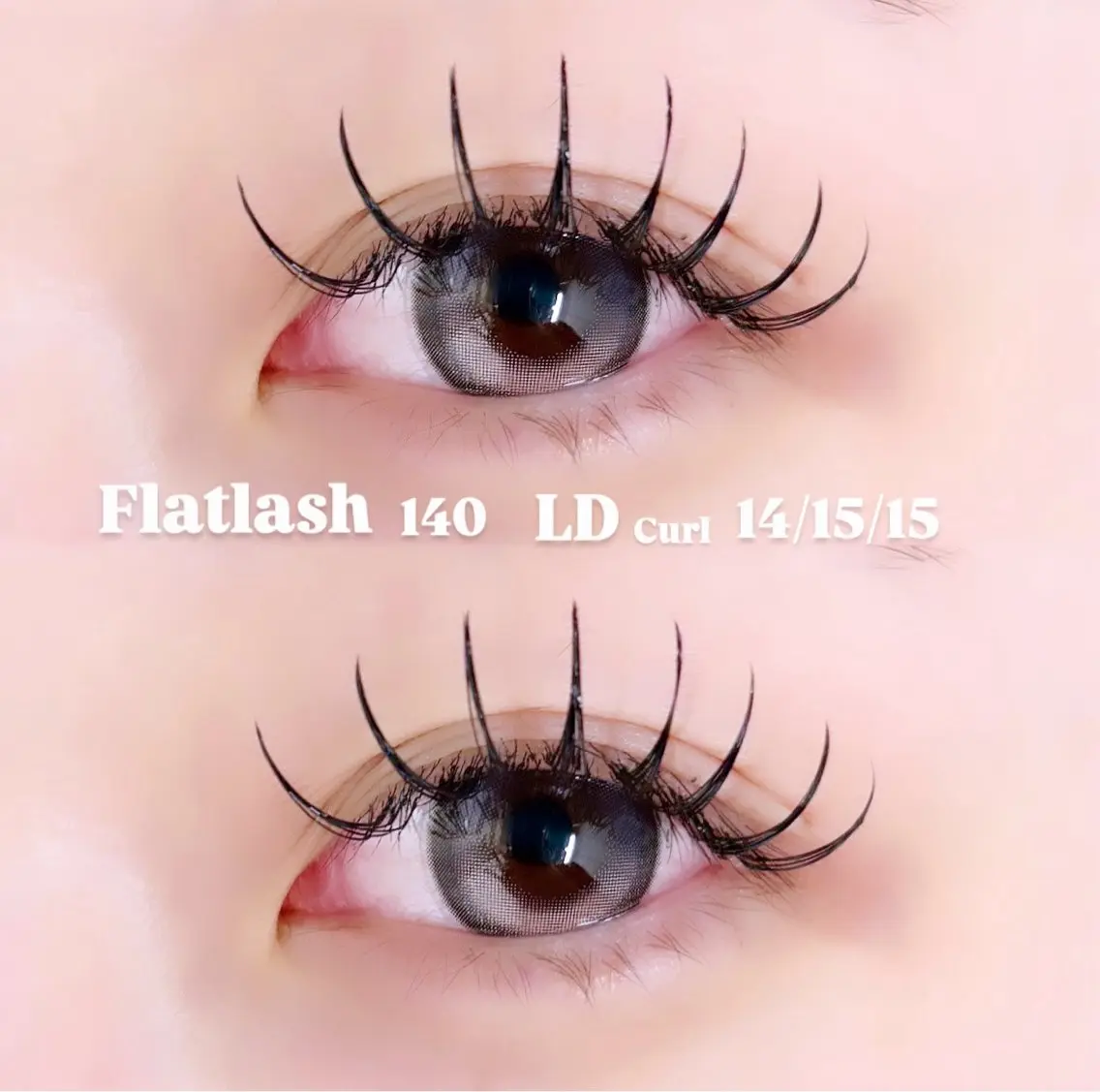 フラットラッシュ140本の写真