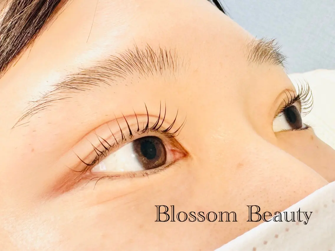 マツエク・マツパ Blossom Beauty aoiのマツエク・マツパデザイン