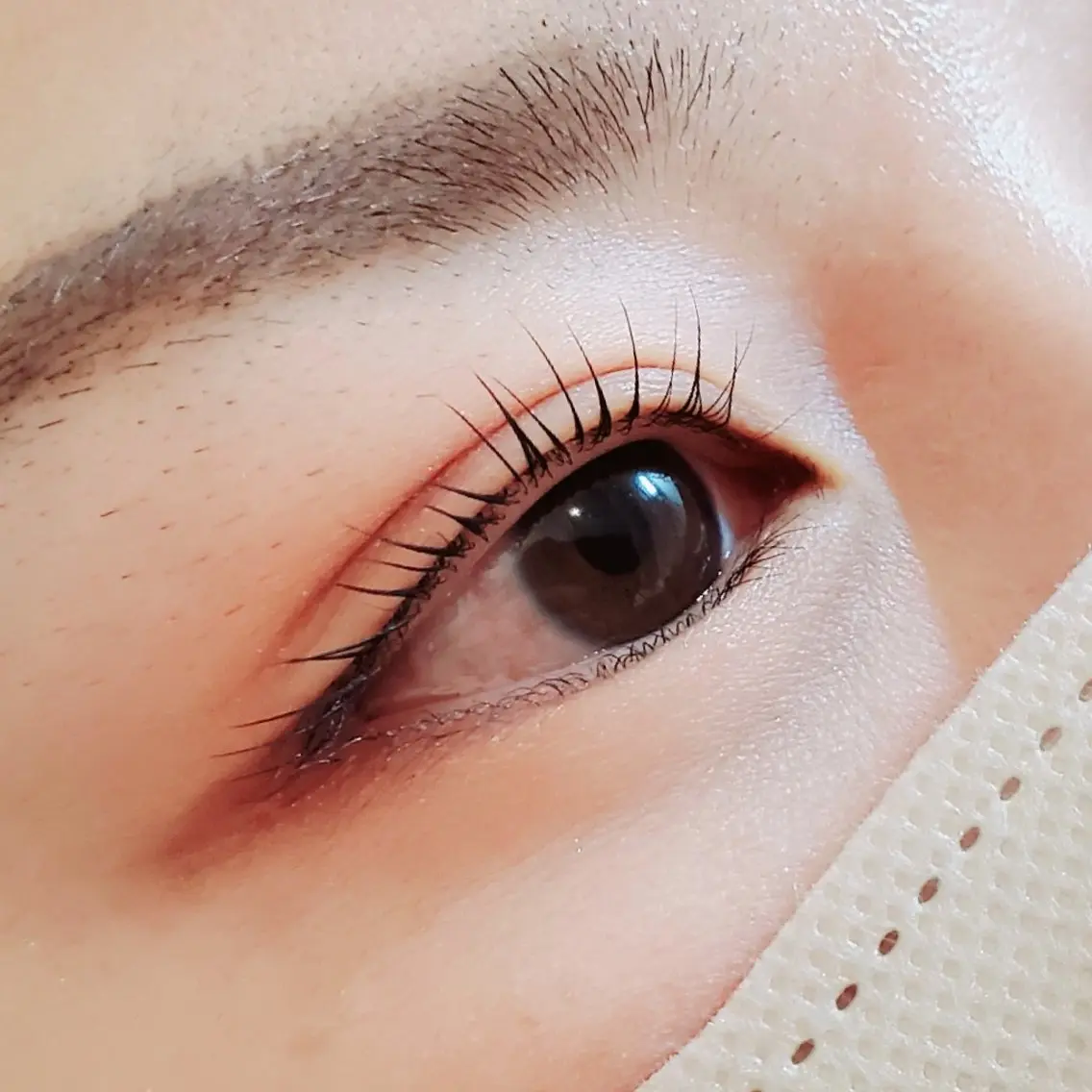 【マツパ＋マッサージ】ラッシュリフト+ヘッドリフレ or 顔整体 30分の写真