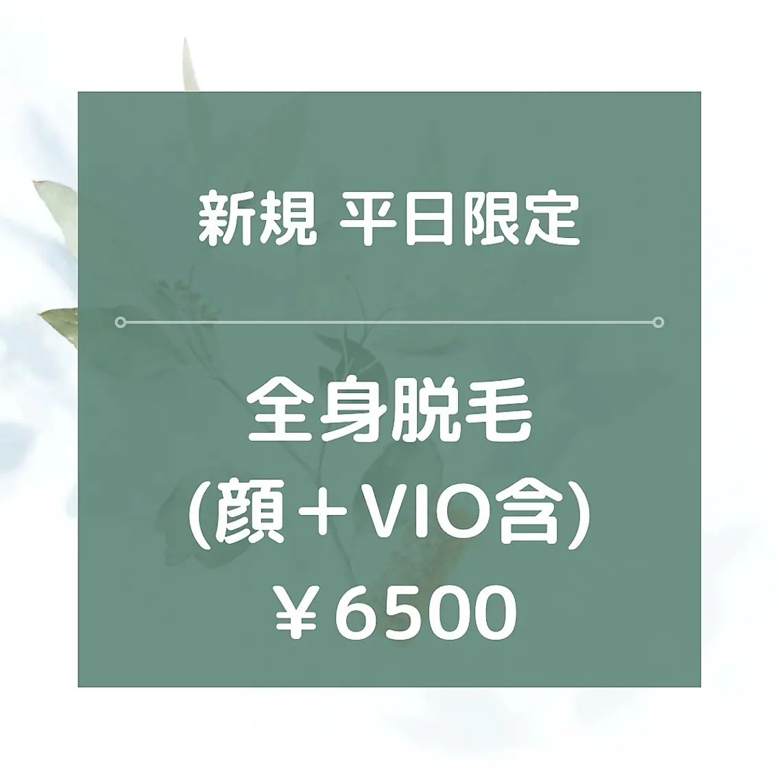 ～4/30迄/平日限定【新規】★☆全身脱毛（全顔＋VIO含）/¥5980★☆90分の写真