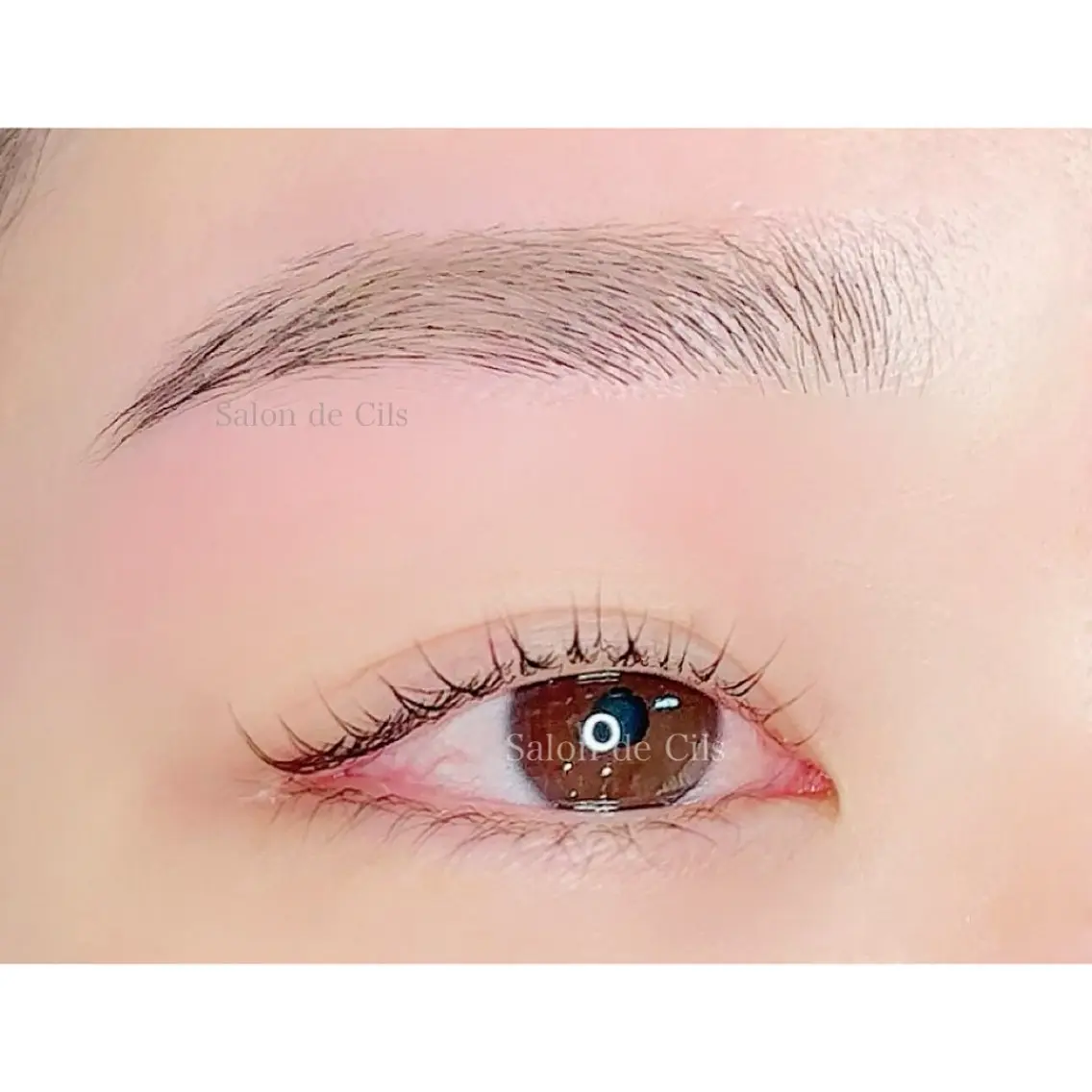 アイブロウ ワックス脱毛 眉カット その他(アイブロウ) Salon de Cilsのマツエク・マツパデザイン