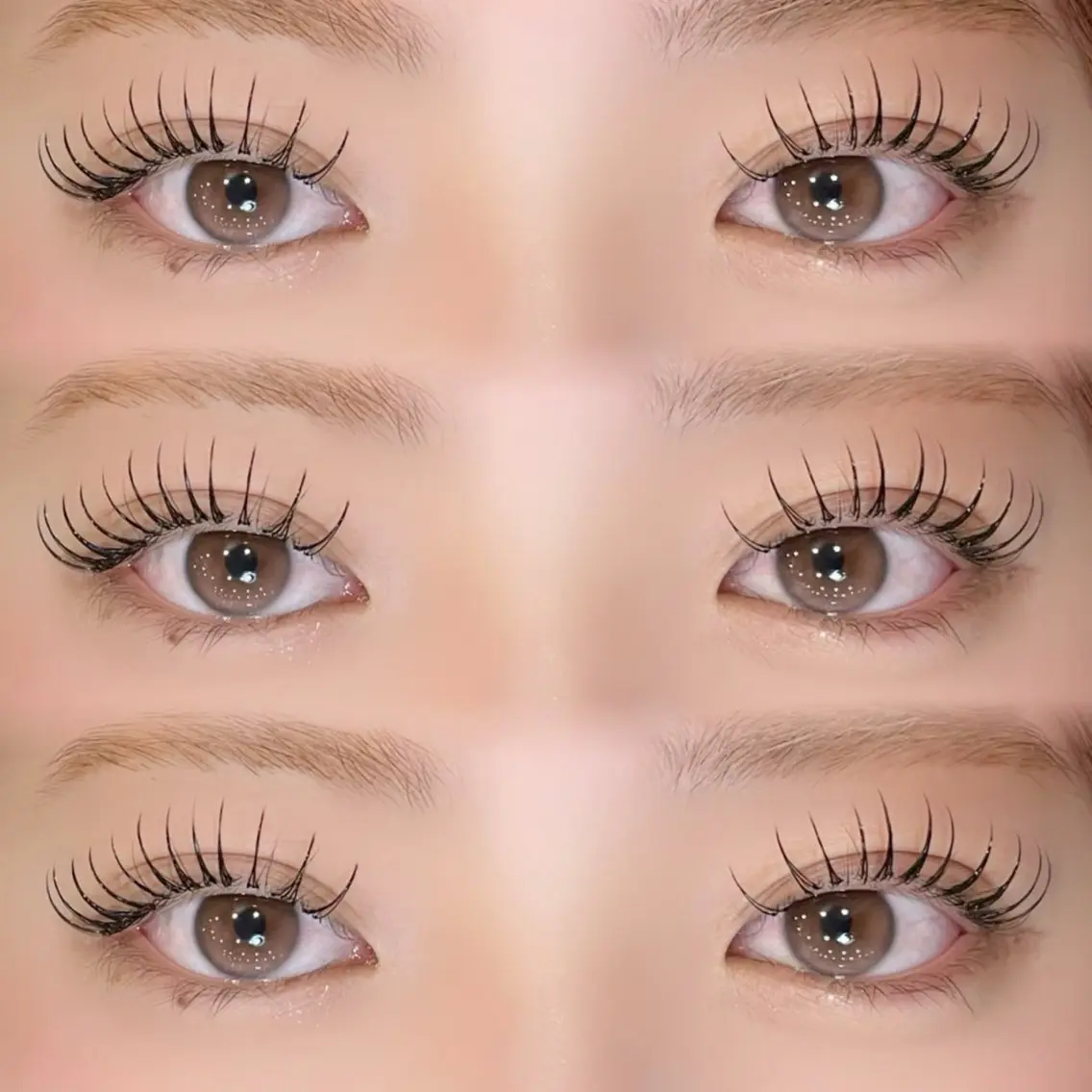 フラットラッシュ140本の写真