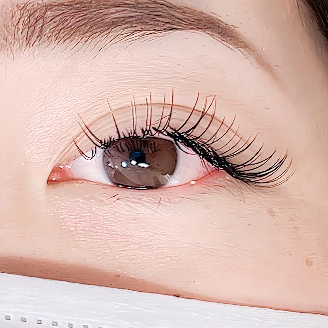 【当日限定】高持続×負担減✨️Flat lash 120本 ¥8000→¥3980の写真