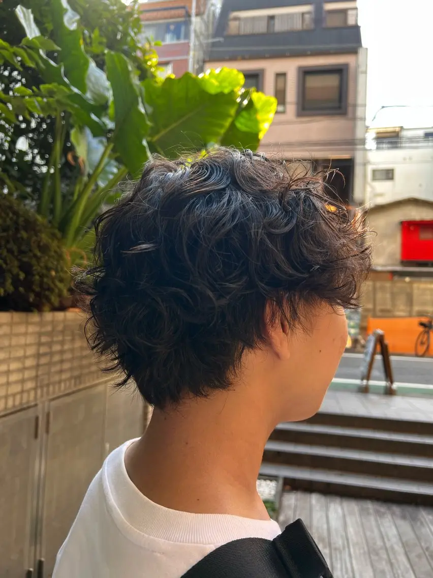 メンズ マッシュ メンズパーマ 澤井 佑果のヘアスタイル