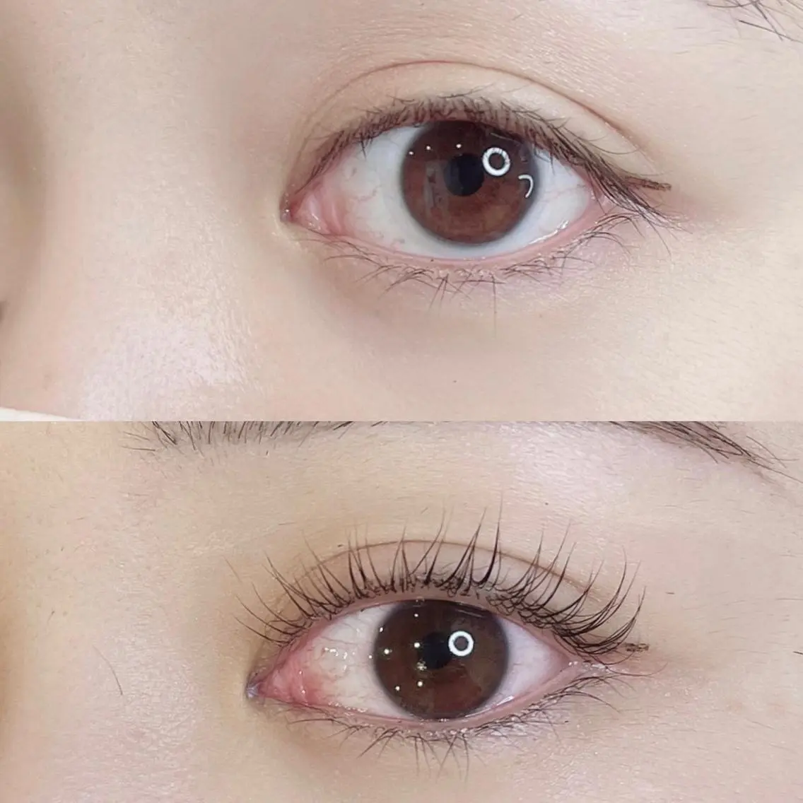 マツエク・マツパ アイブロウ 一重×まつ毛パーマ LELEGANCE eyelashのマツエク・マツパデザイン