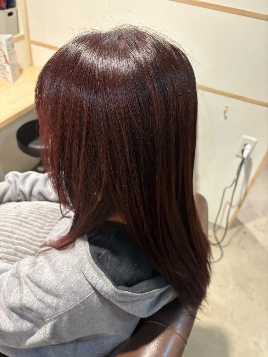 セミロング レッドブラウン ✨艶髪/透明感カラー そらのヘアスタイル