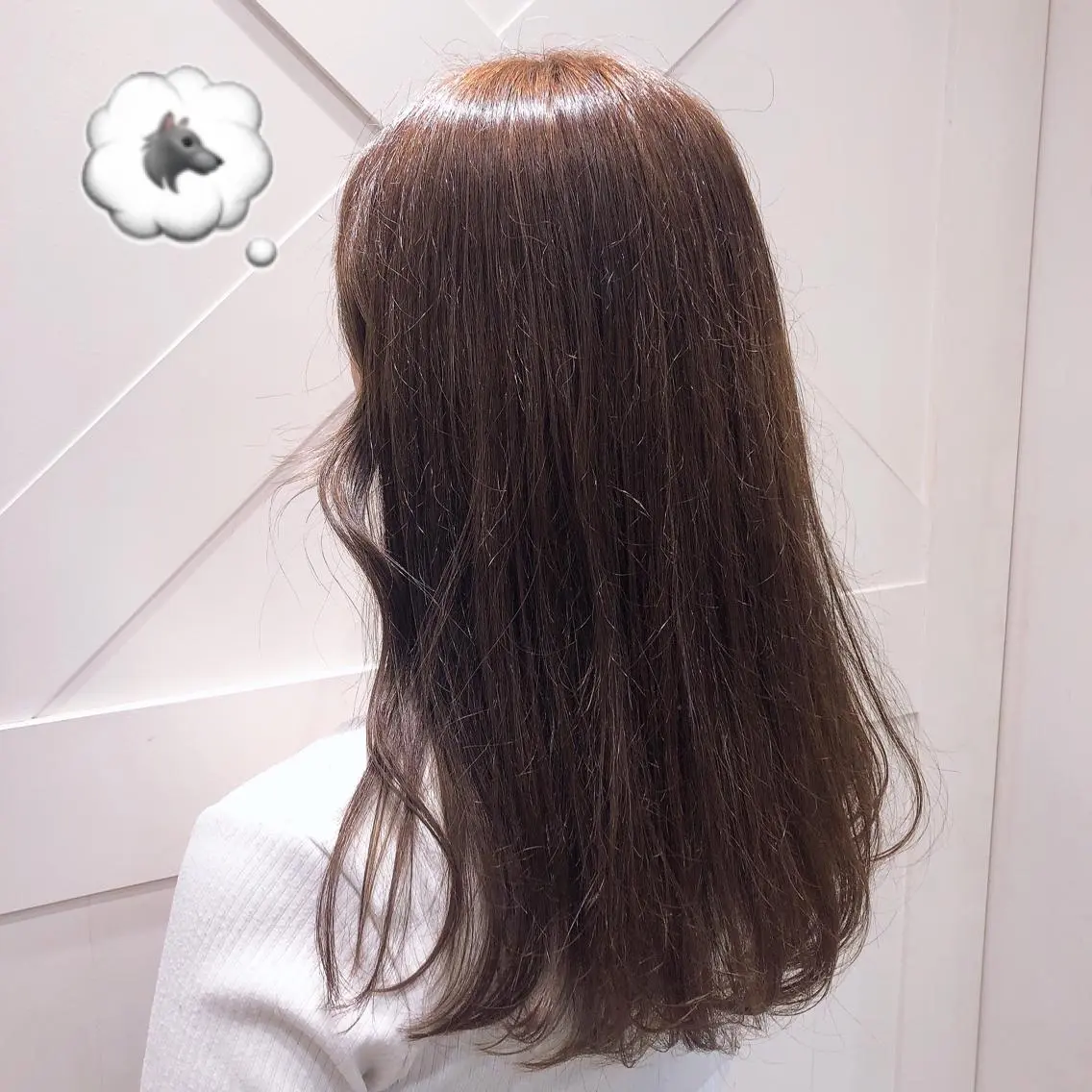 ロング アッシュ 🌺ウルフカット職人 新垣渚🐺のヘアスタイル