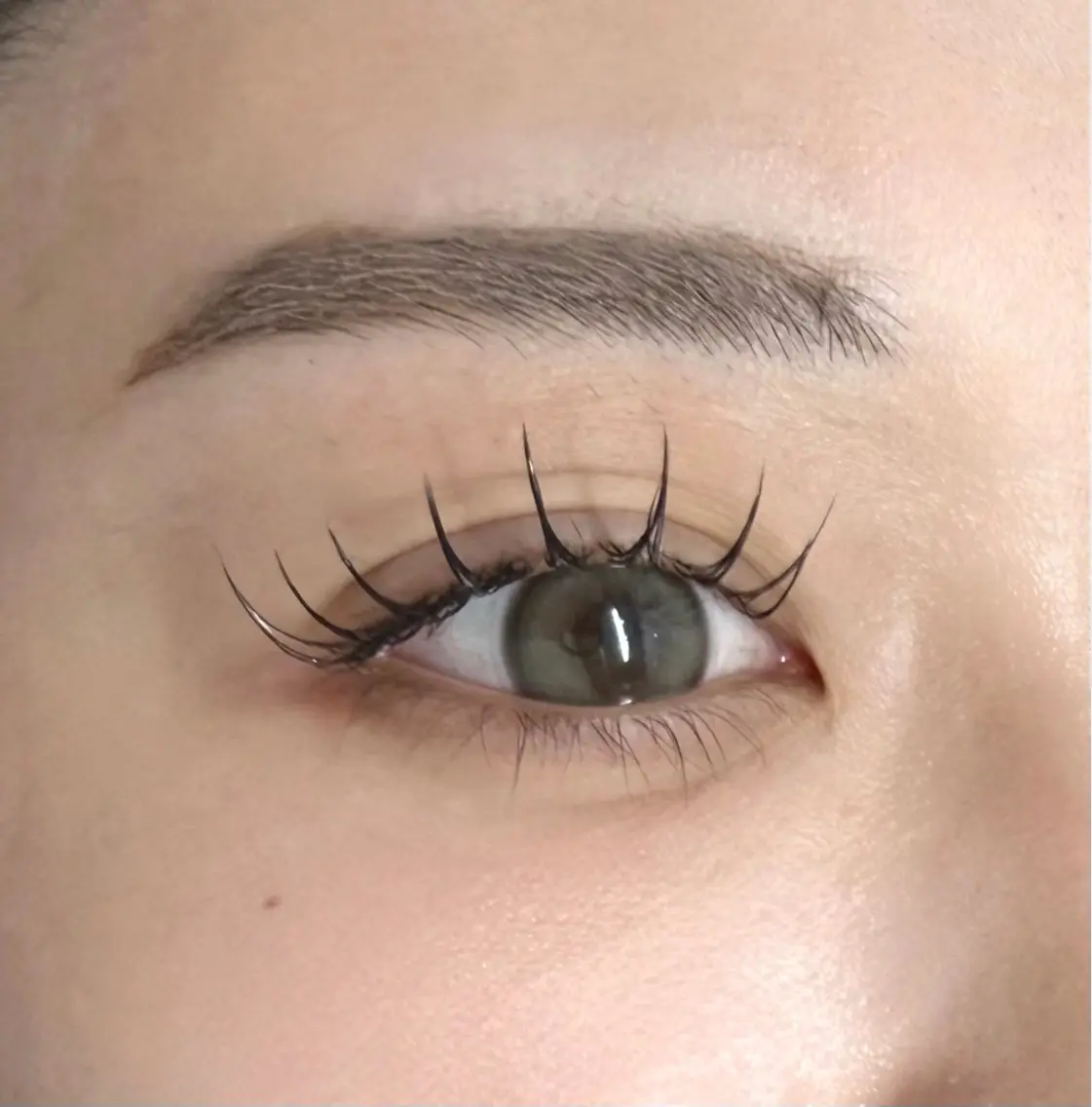 マツエク・マツパ 束感まつ毛 フラットラッシュ ナチュラル マツエク y'sbeauty 天王寺　tomohaのマツエク・マツパデザイン