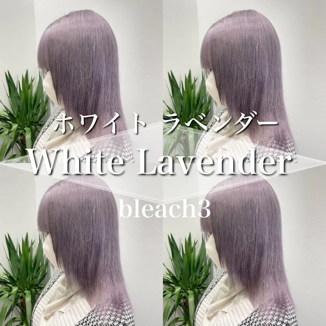 セミロング カラー ［銀座］淡色 ラベンダー🫧大村のヘアスタイル