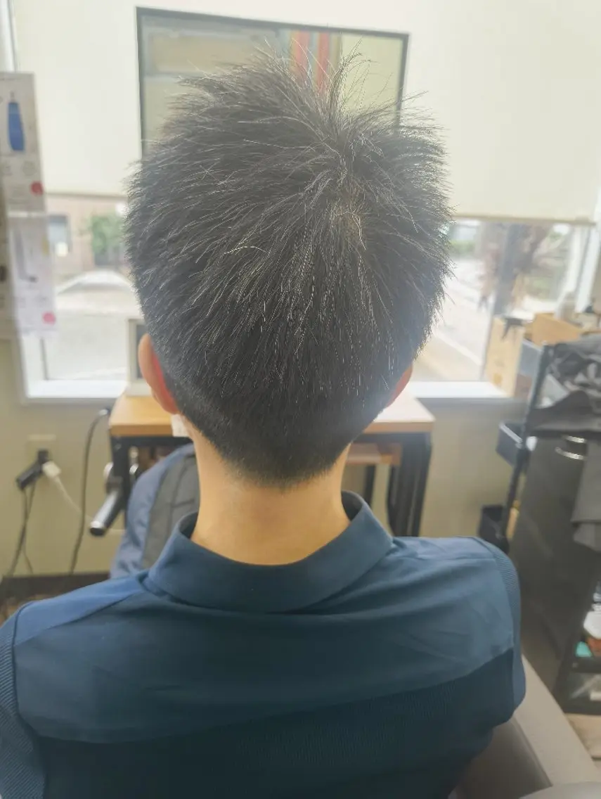 ショート カット 村松 和歌子のヘアスタイル