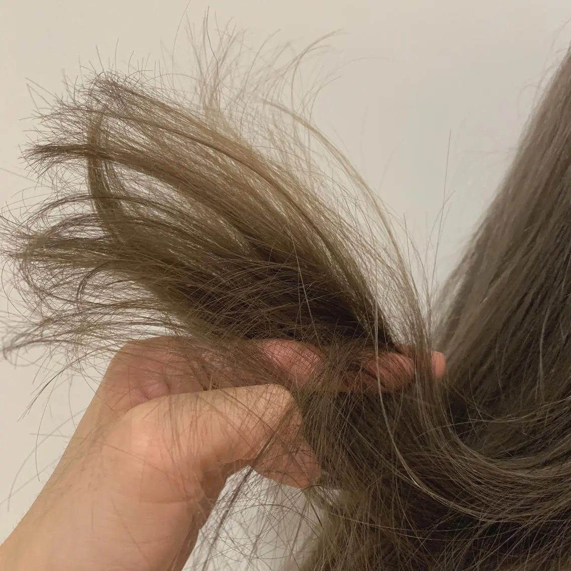 セミロング 村澤 拓弥のヘアスタイル