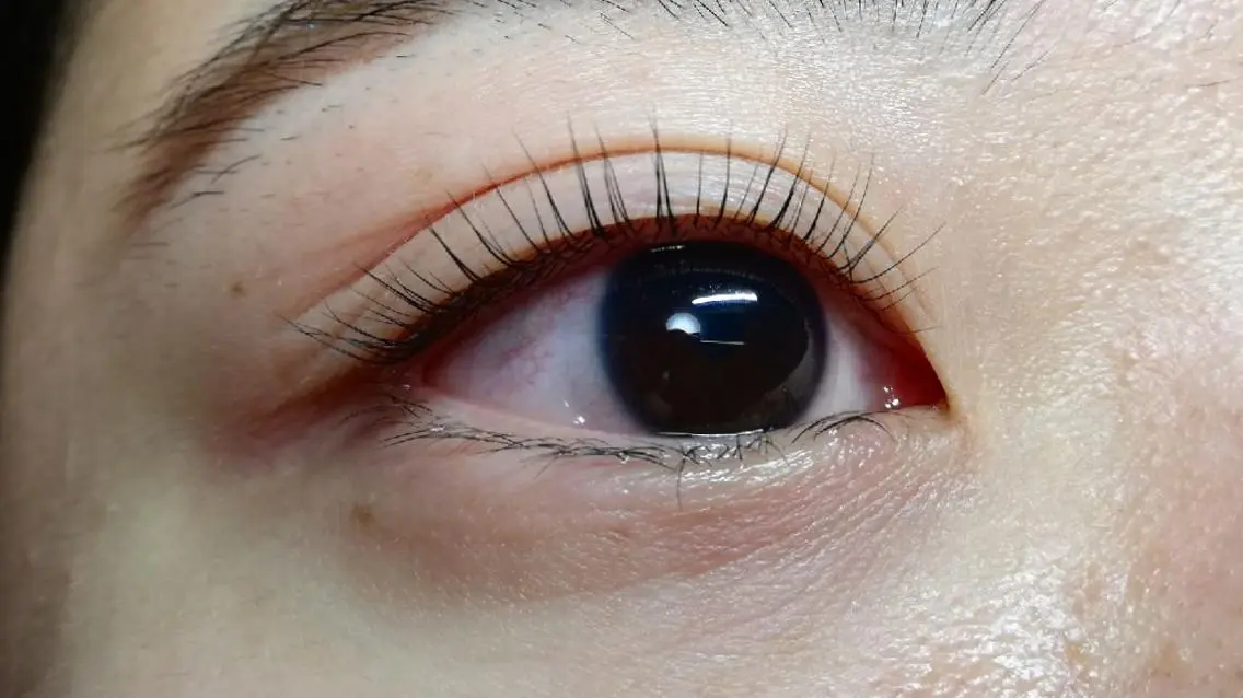 マツエク・マツパ 完全個室サロン🌹 angelux🌹のマツエク・マツパデザイン