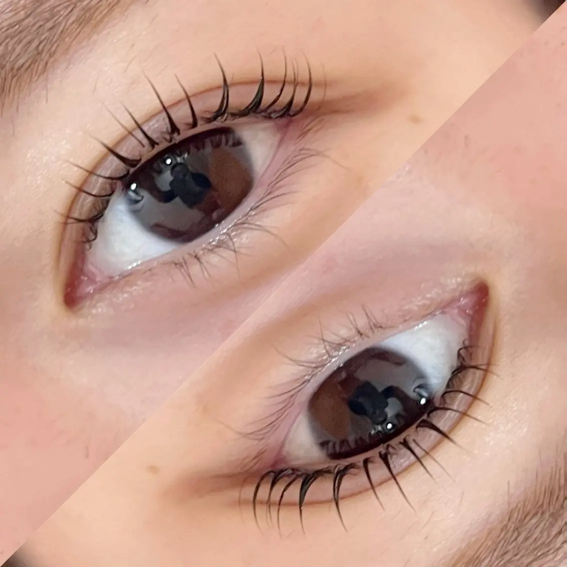 マツエク・マツパ e:nu eyelashのマツエク・マツパデザイン