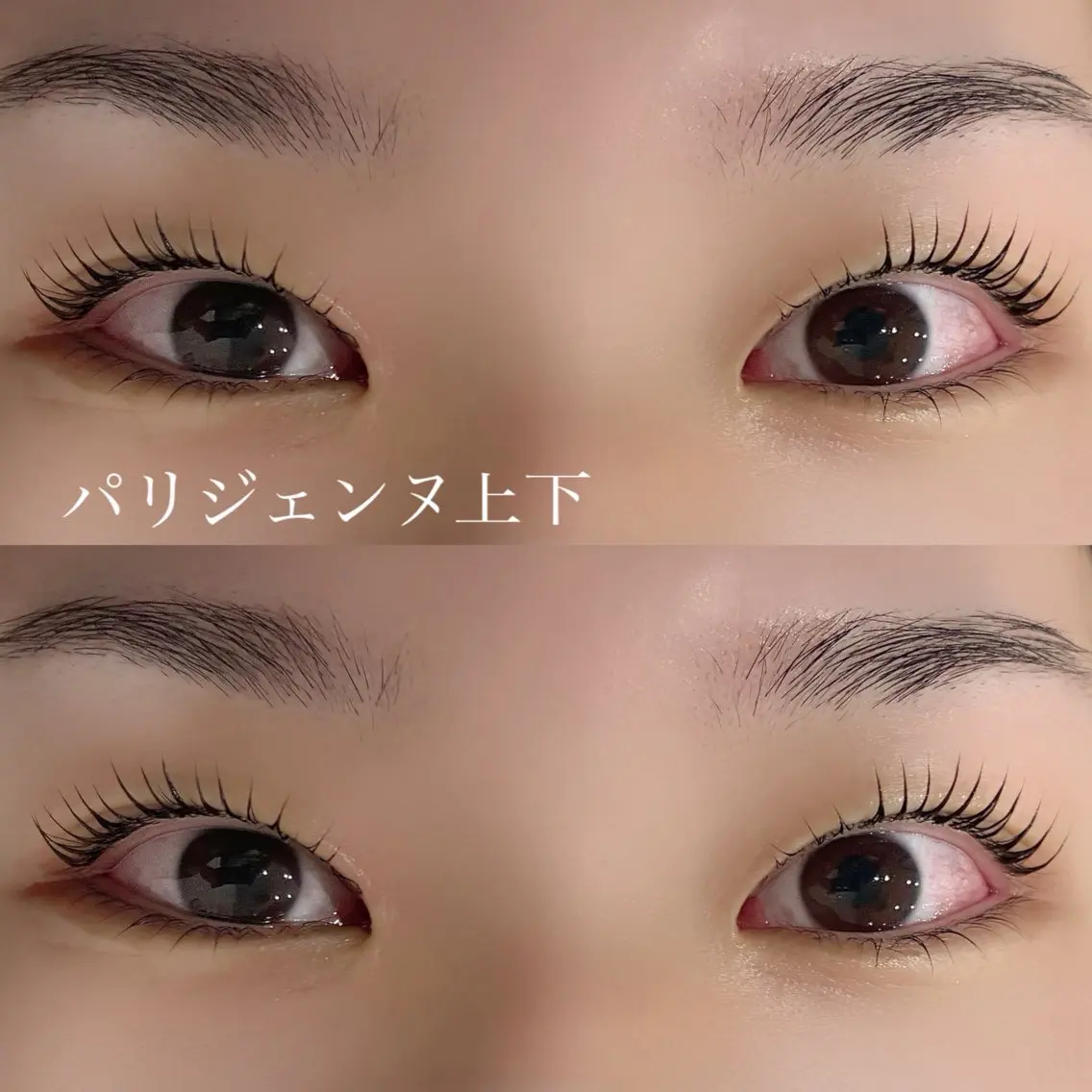 マツエク・マツパ 韓国風マツエク パリジェンヌラッシュリフト 下まつげエクステ 一重×まつ毛パーマ マツパ マリーテレジア FUJIMOTOのマツエク・マツパデザイン