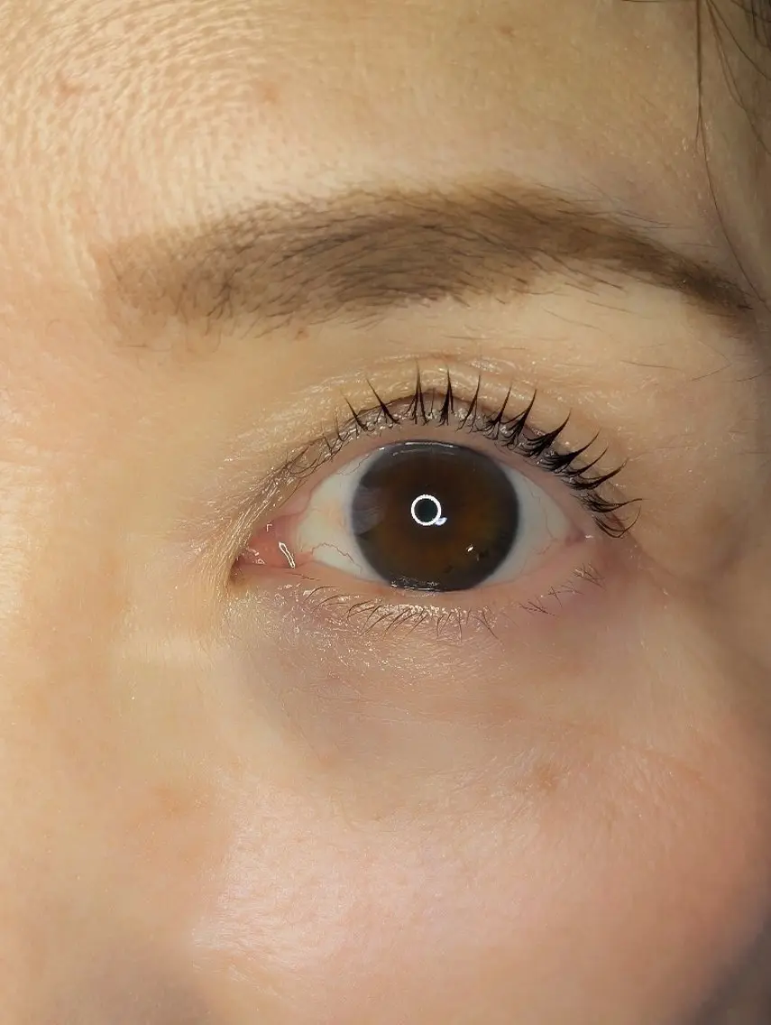 マツエク・マツパ 一重×まつ毛パーマ マツパ EYELASH lino　合志市のマツエク・マツパデザイン