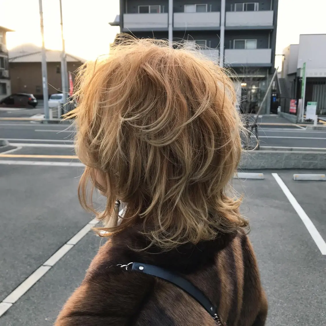 ショート ショートレイヤー レイヤーカット ショートヘア 今井 啓太/縮毛矯正のヘアスタイル