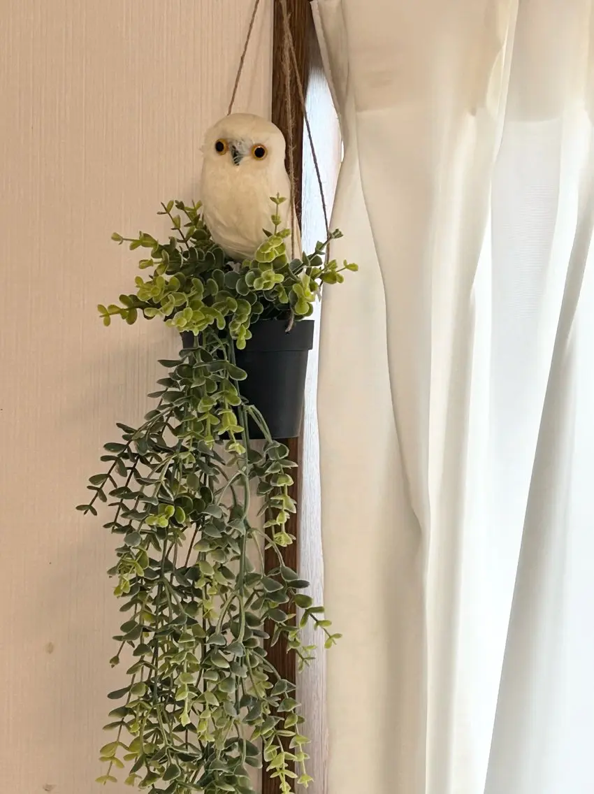 エステ JUBILANT LE.BOISのエステ・リラクイメージ