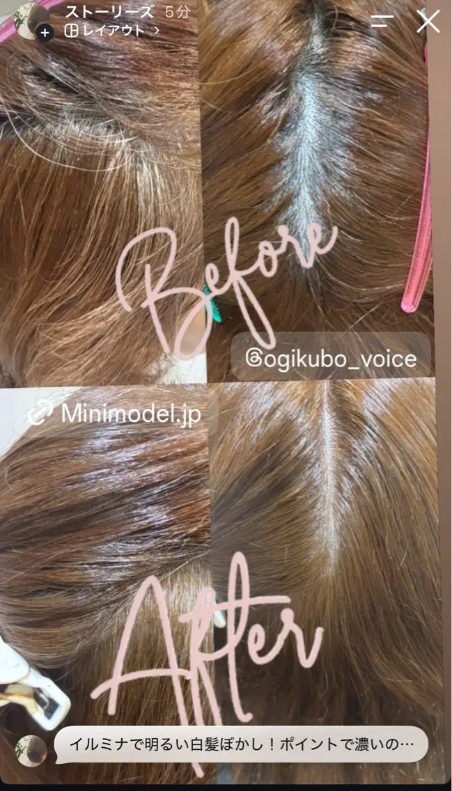 カラー ヘアカラー 白髪✖️ツヤカラー 🌈kei【荻窪】のヘアスタイル