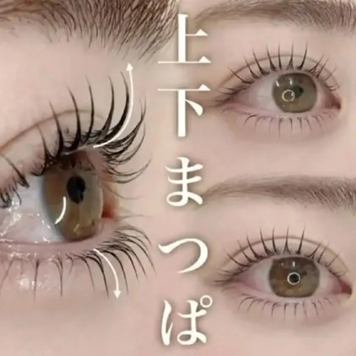 31日まで限定まつげパーマモデル🤍ベテランアイリストがチェック😃500円の写真