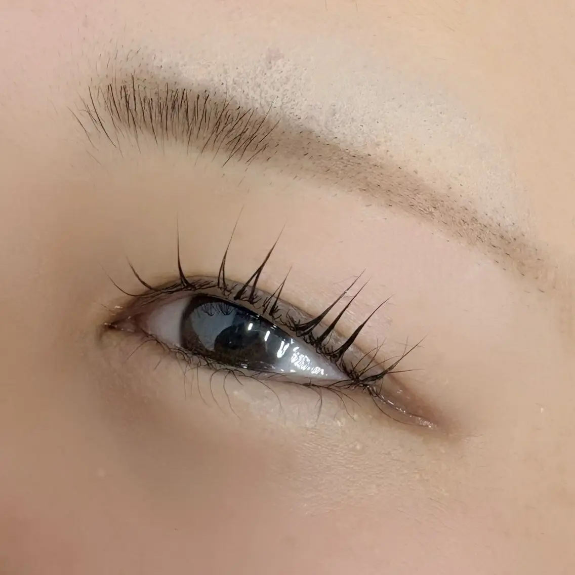 マツエク・マツパ マツパ 🍀 田中 美姫 🌿‬のヘアスタイル