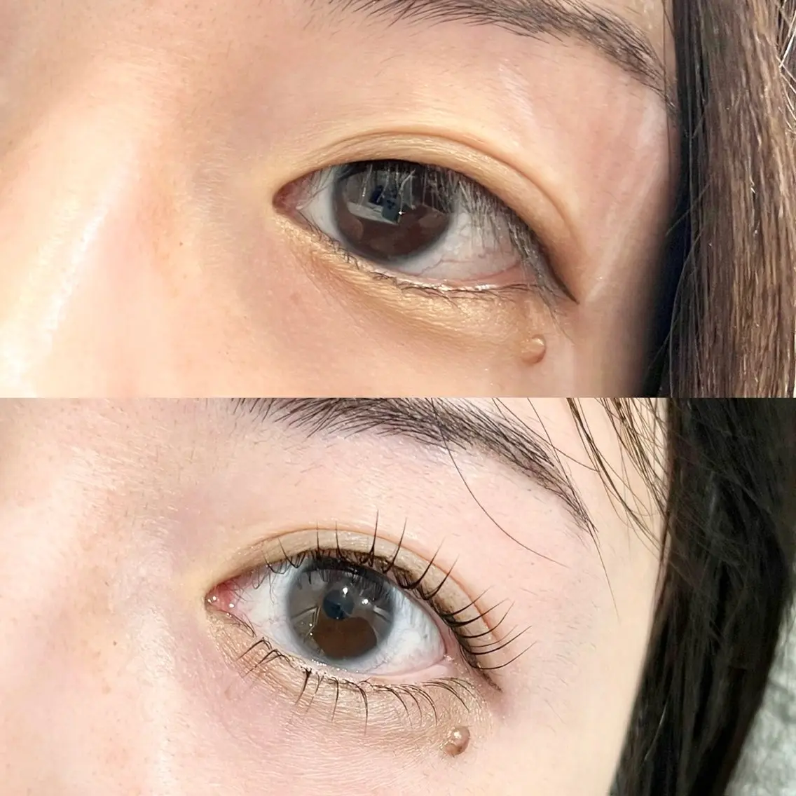 ✨️6月限定✨️【まつパモデル】上下まつ毛パーマ‎🤍🫧の写真